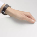 Master Watchmaking