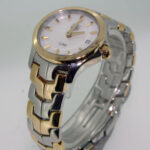Master Watchmaking