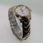 Master Watchmaking