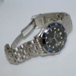 Master Watchmaking