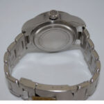 Master Watchmaking