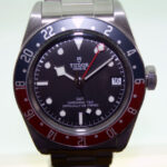 Master Watchmaking