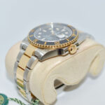 Master Watchmaking