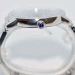 Master Watchmaking