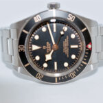 Master Watchmaking