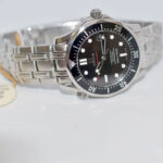 Master Watchmaking