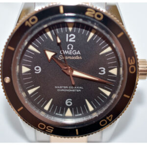 Master Watchmaking