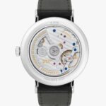 Master Watchmaking